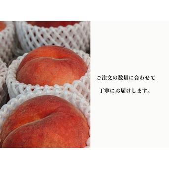 【桃ギフト】贈り物にぴったりの朝どれ桃！約2kg 約5~6玉 桃 2kg 果物/もも通販