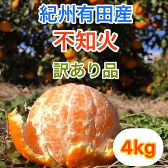 売り尽くしセール！ デコポンと同品種！紀州有田産 不知火 訳あり品4kg