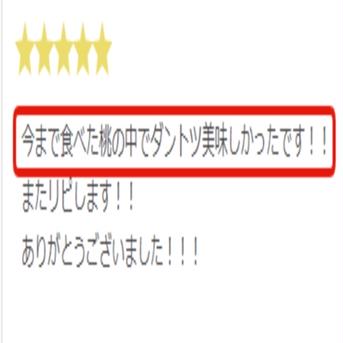 【8月下旬予約】TBSラヴィットで話題沸騰☆"祝"産直受注1万件突破！！あしたの内村!!ニノさんTV出演☆レストラン御用達もも1kg【お試し特価キャンペーン】朝採れ桃【旬祭限定】 樹上完熟桃約1kg3～4個 果物/もも通販