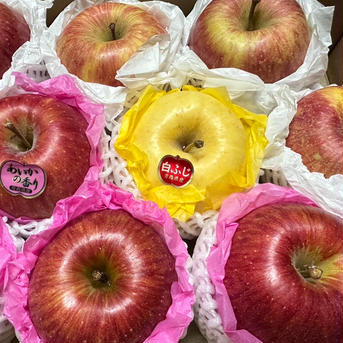 ギフトにも！りんごの「御花箱」約3kg箱8〜10玉 約3kg箱　8〜10玉 果物/りんご通販