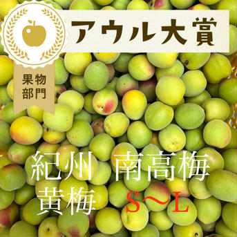 【小玉】【1kg】黄梅　南高梅 【1kg】【小玉】 果物/青梅通販