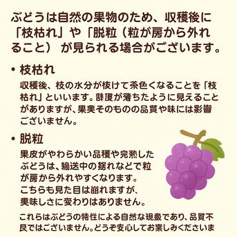 ぶどう こちら専用のお品物となります 【公式通販】