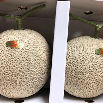 絶品！旬屋OKADAのリッチなアールス赤肉メロン🍈 1.7kgの〜2.2kg以内　２玉入り🍈 果物/メロン通販