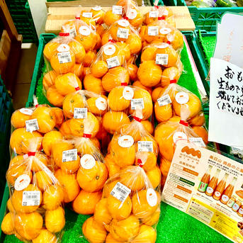 完熟早生みかん3S〜S混合4.5kg🍊 | 果物/温州みかん 産直アウル 農家