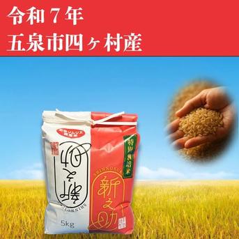 ?令和7年産?❇️玄米❇️?送料500円シェア??お米ソムリエ監修?令 