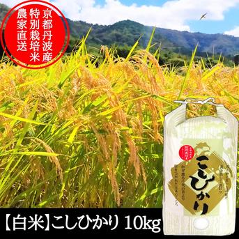 減農薬 特別栽培米 こしひかり 白米10kg コシヒカリ お米10キロ no.1 特別栽培米】 減農薬 こしひかり 10kg（認証取得）信州の環境に優しい