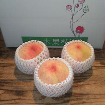 🍑旬のもも🍑【3kg箱】 約2.5〜3.2kg(8〜11玉) 果物/もも通販