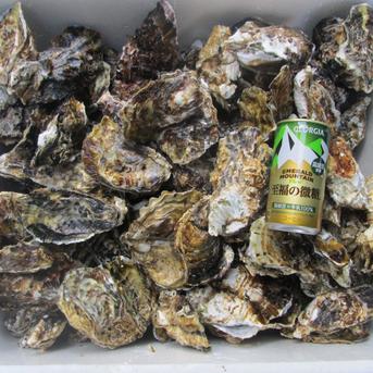 生食用牡蠣１０ｋｇ松島牡蠣屋の旨い生食可能な殻付き牡蠣 生牡蠣 10ｋｇ 魚介類/牡蠣通販