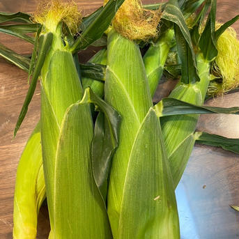 わたあめとうもろこし( ´ ▽ ` ) 4本 とうもろこし　4本 野菜/とうもろこし通販