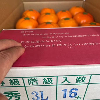 3Lサイズ 壱心不乱に作った 会津身知らず柿 | 果物/柿 産直アウル 農家