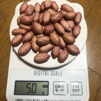 とれたて生落花生（乾燥落花生50gおまけ付）1.8kg 1.8kg 野菜/豆類通販