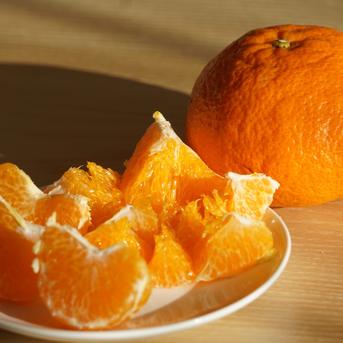 【言の葉】Gift甘平6Kg+9Kg　2か所発送 甘平（かんぺい）贈答箱入り 6～8個 愛媛限定栽培品種 | みかんの花