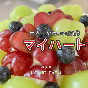 農家直送】世界一かわいいハート型ぶどう「マイハート」約1kg（家庭用
