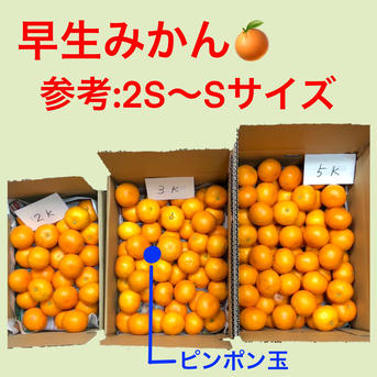 2kg】温州みかん ｜ 果物/温州みかん 産直アウル 農家・漁師など生産者