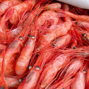 道産甘海老の醤油漬け 70g×2本 魚介類/魚介の加工品通販