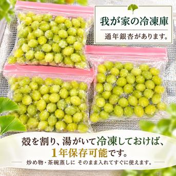 2026年＊初物】祖父江産 銀杏〈久寿〉混合MIXサイズ500g ｜ 野菜