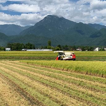 令和7年産【コシヒカリ白米2kg】ウチゴハンを笑顔にする 北アルプスの