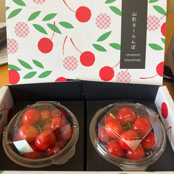 山形県産さくらんぼ やまがた紅王 200グラム ｜ 果物/さくらんぼ 産直