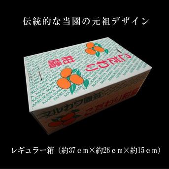晩生みかんの旨さたっぷり！超熟みかん「熟太郎（じゅくたろう）」お