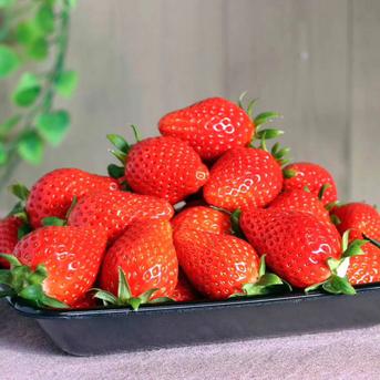 【そのまま食べても加工しても良し】ななか 全国7件のみ栽培 今まで食べたことの無いいちごを皆様へ 500g ななか500g 果物/いちご通販