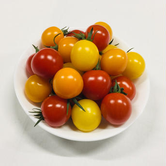 サザキ農園の『カラフルミニトマト』ミックスセット2.5kg 2.5kg 野菜/トマト通販