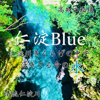 【食べ比べ】高知県産『生黒きくらげ500g』&『生白きくらげ400g』 900g (生黒きくらげ500g)(生白きくらげ400g) 野菜/きのこ通販