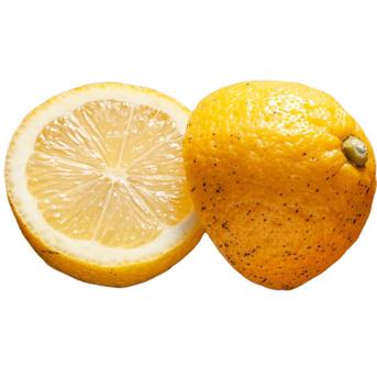 広島県産 瀬戸田レモン 10㎏ C品（訳あり） 有機JAS法準拠栽培 | 果物