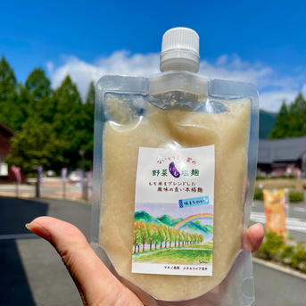 新発売☆ないとうさん家の野菜にも塩麹 野菜にも塩麹　2個 調味料/その他調味料通販
