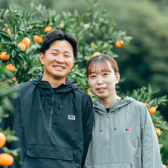 去年は大人気の為【予約受付のみ】で終了しました［段畑みかん］ 箱