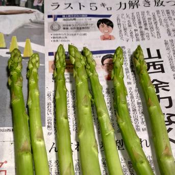 【朝採】 アスパラガス B品L~2Lサイズ 2kg 【収穫当日発送】 2kg 野菜/アスパラガス通販
