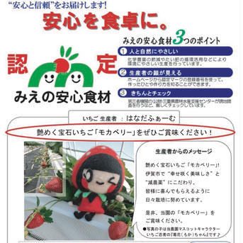 感謝価格【減農薬】三箱 訳ありいろいろなサイズ 『モカベリー』 完熟いちご 苺 果物 約1800g 果物/いちご通販