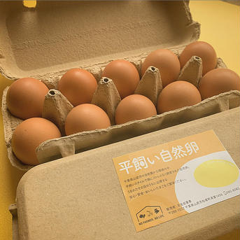 《冷蔵》平飼い有精卵【30個】 10個入り×3パック 卵/鶏卵通販