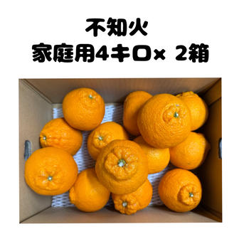 16.ブラッドオレンジ家庭用大小10キロ 九州から関東料金 楽天市場】【送料無料】ブラッドオレンジ 国産 モロ 訳あり 5kg 愛媛県