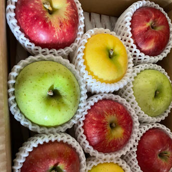 「送料無料」開設記念‼️多品種詰め合わせBOX 約3kg 9玉〜 果物/りんご通販