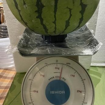 兵庫産　チャンピョン　大玉スイカ　8200ｇ　訳あり ８２００ｇ 果物/スイカ通販