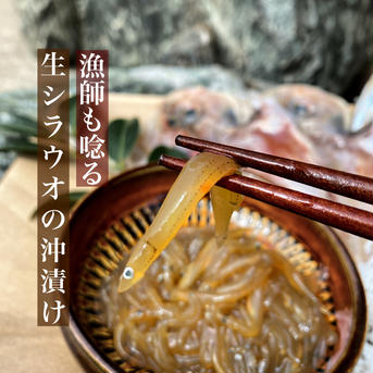 【福袋】５種★漁師おまかせセット（中） 福袋【5種】漁師におまかせセット 魚介類/魚介セット・詰め合わせ通販