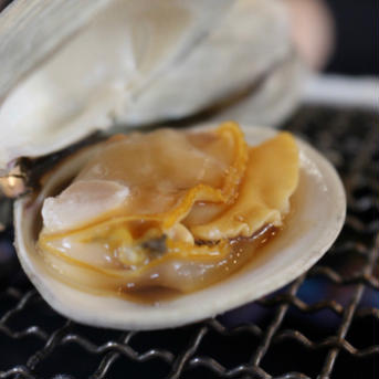 プリプリの九十九里地はまぐり 千葉県ブランド海産物認定品 はまぐり　約1キロ入 魚介類/蛤通販