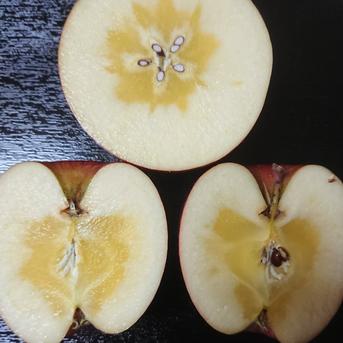 【限定品】青森県藤崎産　蜜入り！だけど小玉 葉とらずサンふじ3㌔ 3㌔ 果物/りんご通販