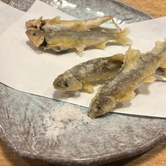 【旬祭限定】高知県産養殖鮎1Kg 鮎1Kg 魚介類/川魚通販