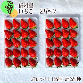 【紅ほっぺ】確定！！いちご厳選2種（各１パックずつ）　※紅ほっぺ＋（すずor星の煌めきor章姫orかおり野orおいCベリーorあまえくぼ　いずれか1種）　苺２パック６４０ｇ～８００ｇ いちご２品目６４０ｇ～８００ｇ 果物/いちご通販