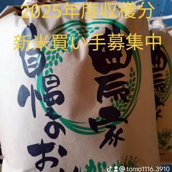 2026年産 無洗米コシヒカリ 20kg ｜ 米・穀物/米/精米 産直アウル 農家