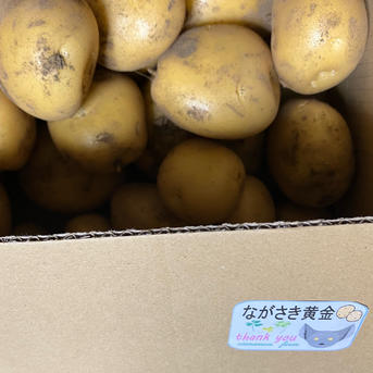 ながさき黄金 | 野菜/じゃがいも 産直アウル 農家から直接野菜などの