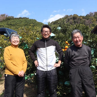 【傷モノ】トロトロ甘っ！濃い味旨味みかん5キロ 5キロ 果物/温州みかん通販