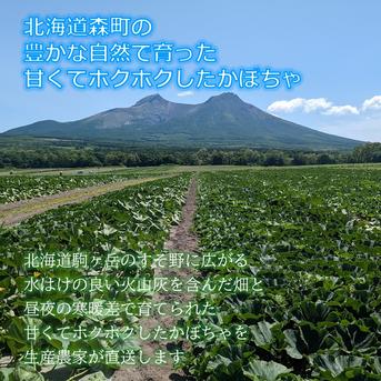 北海道森町産みやこかぼちゃ4kg ｜ 野菜/かぼちゃ 産直アウル 農家