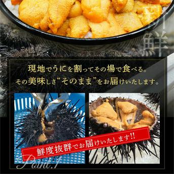 塩水生うに(キタムラサキウニ)100g×5個入 礼文島産 【送料無料】 100g×５個 魚介類/ウニ通販