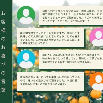 2月発送 愛媛県産「甘平」4キロ ご家庭用 ｜ 果物/オレンジ・その他