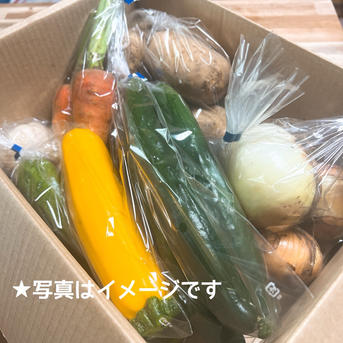 * vintage vegetable ❀ お野菜 オーナメント set (B) 旬祭限定】旬のたっぷり夏野菜セット ｜ 野菜/野菜セット・詰め合わせ