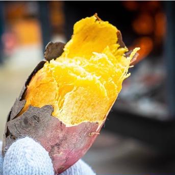 特別栽培品】べにはるか20kg | 野菜/さつまいも 産直アウル 農家から