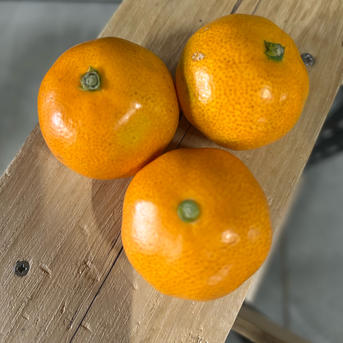 厳選選果の小玉 翔ぶ美味さ！甘熟品 有田みかん 有田市 産地直送 2KG