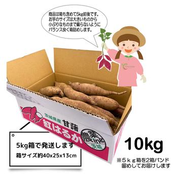 2025年新物】〇 秋の収穫祭 〇 新芋 10kg 🍠農薬不使用 紅はるか